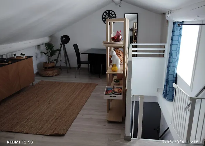 Un Nid Sur Les Toits Avec Terrasse