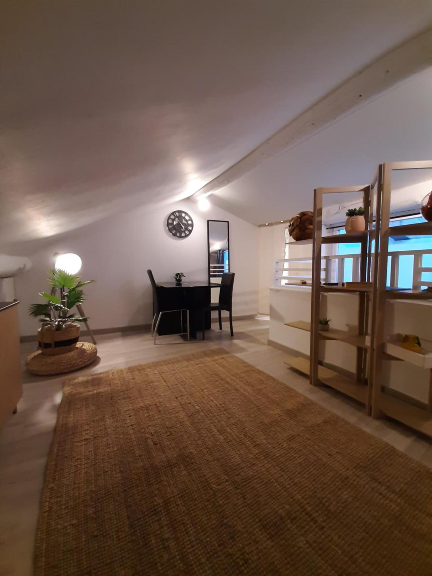 Un Nid Sur Les Toits Avec Terrasse Apt