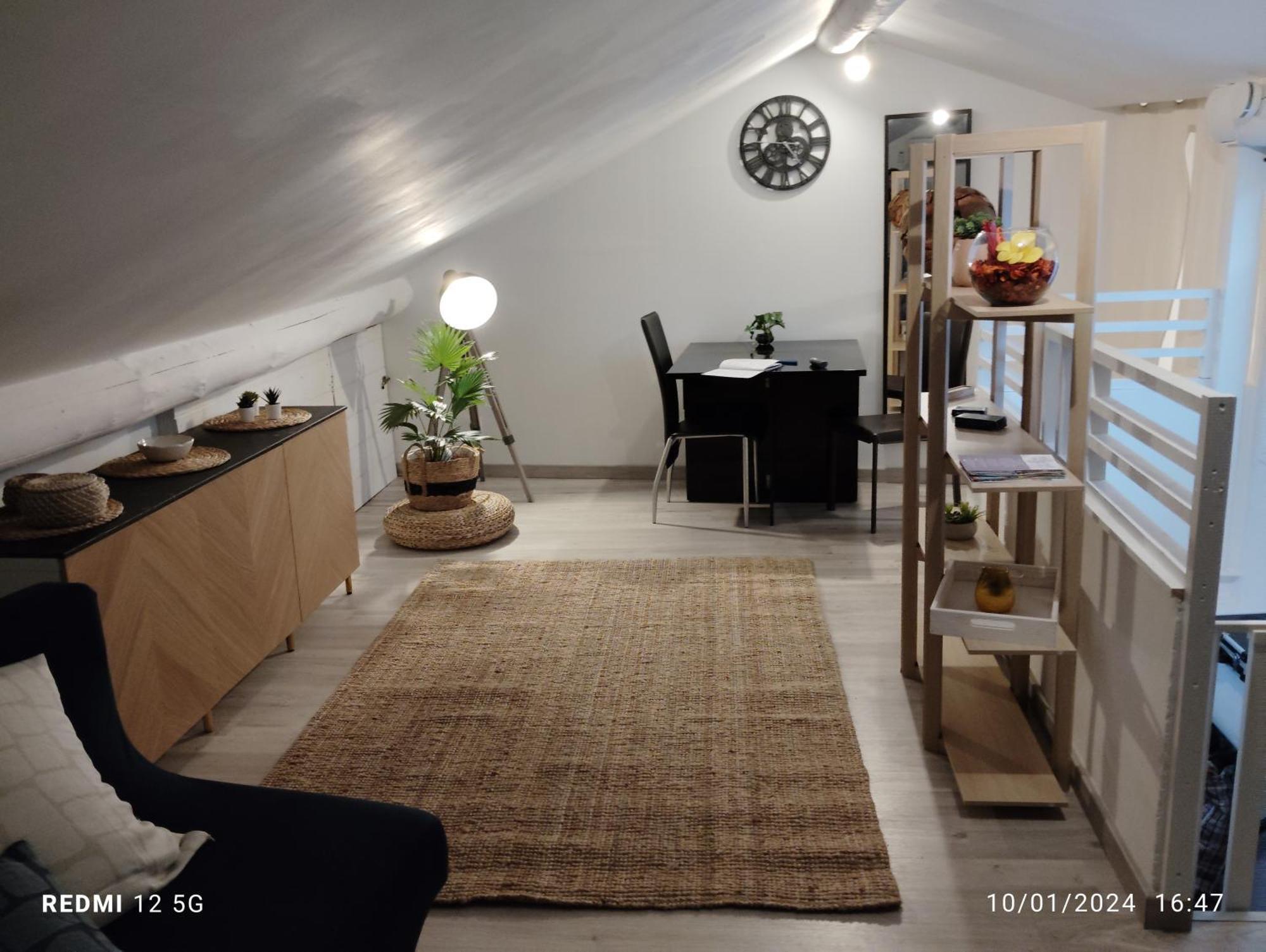 Un Nid Sur Les Toits Avec Terrasse Apartment